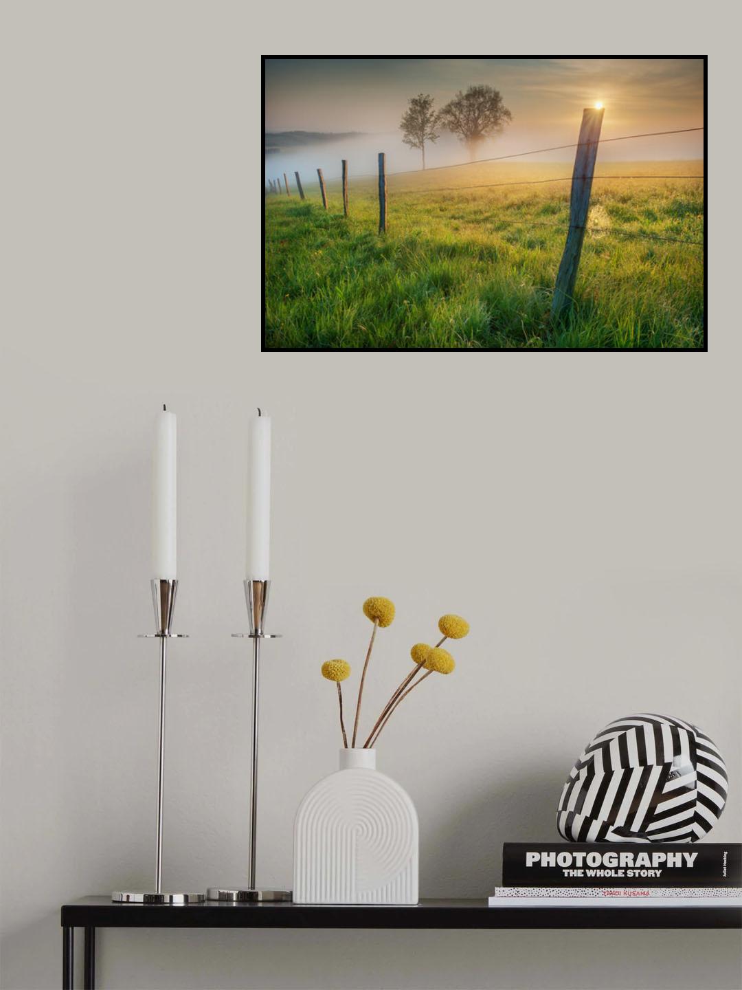 morning sun Poster och Canvastavla