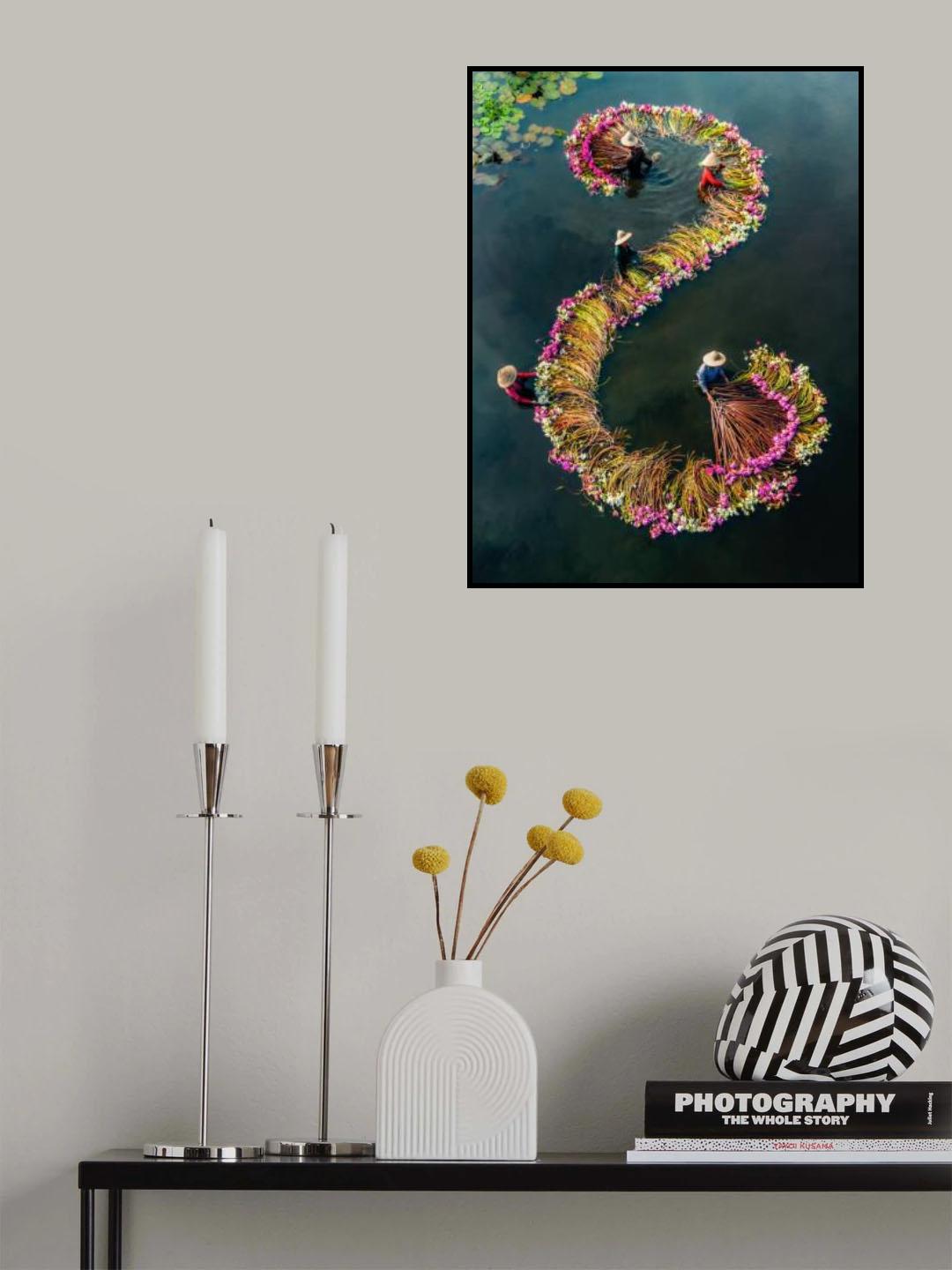 Harvesting water lilies v15 Poster och Canvastavla