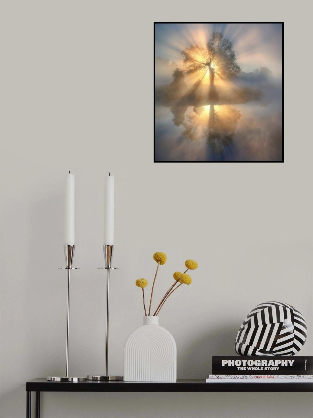 Tree of light Poster och Canvastavla