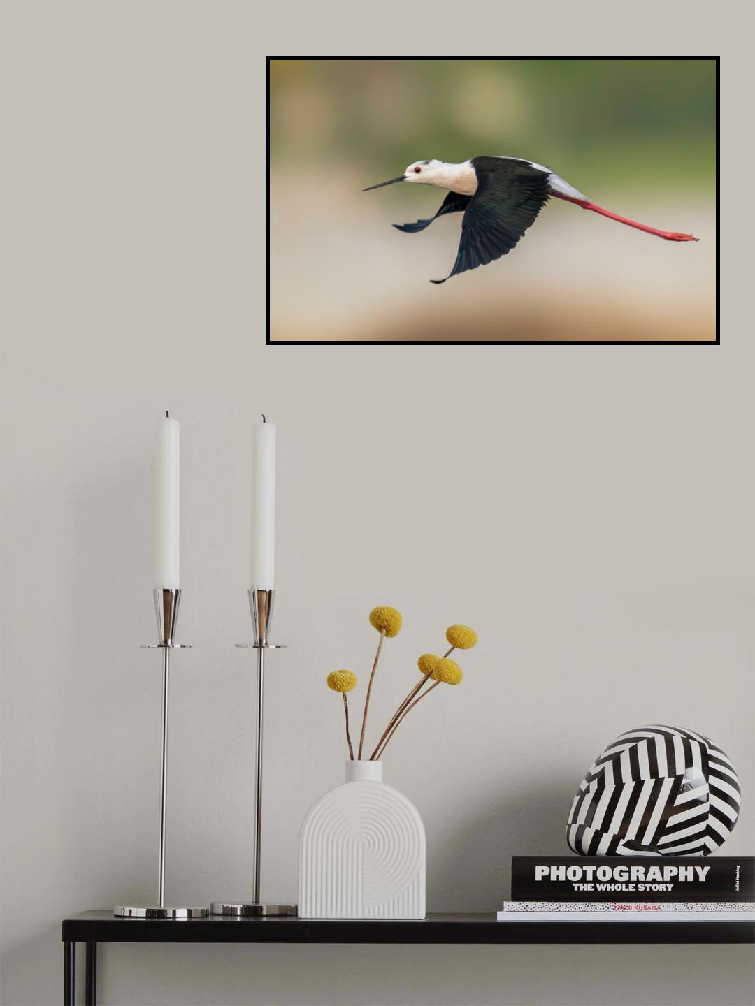 Poster och Canvastavla