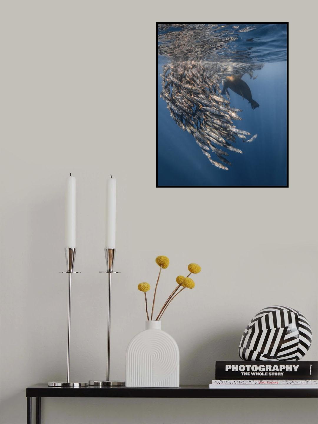 RUN RUN RUN ... Sealion attack Poster och Canvastavla
