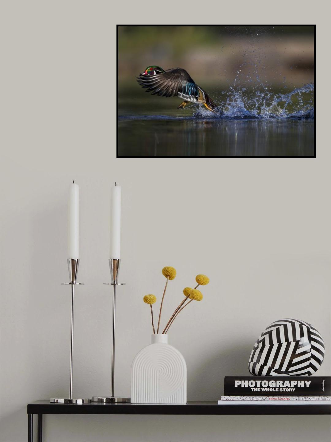 Woodie the duck Poster och Canvastavla