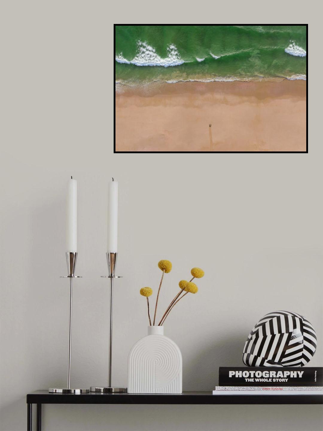 Turtle Season Poster och Canvastavla