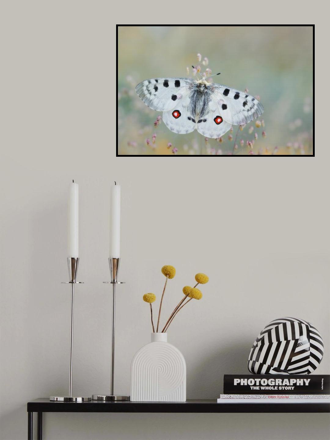 Creation Poster och Canvastavla