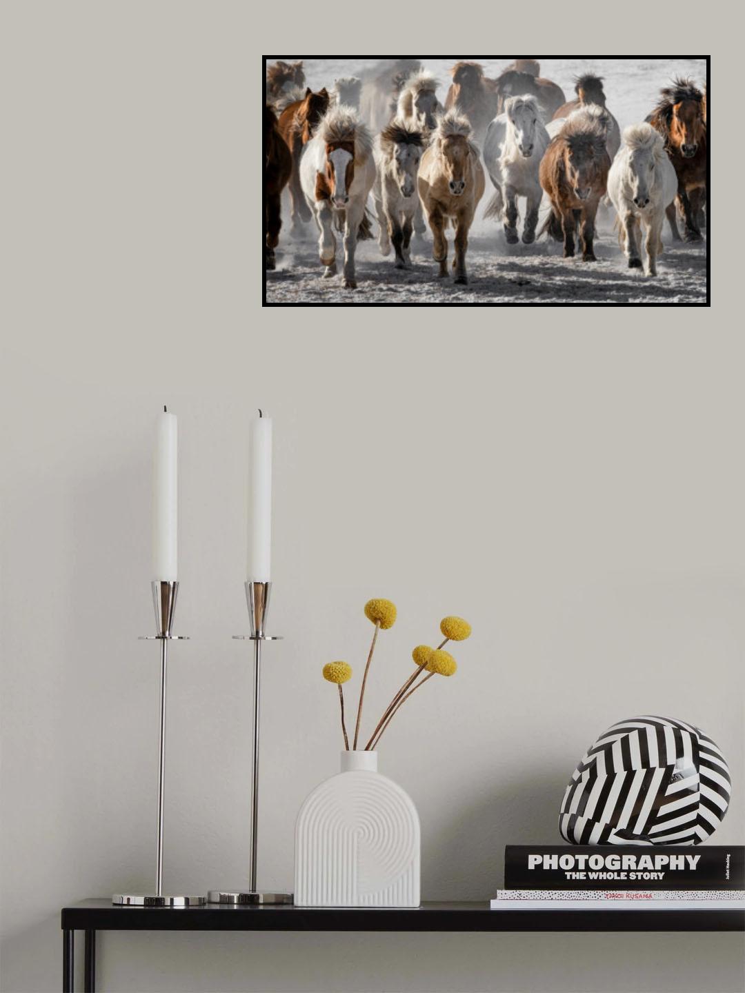 Mad Horses Poster och Canvastavla