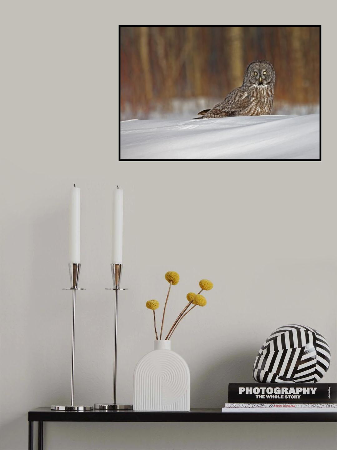 Poster och Canvastavla