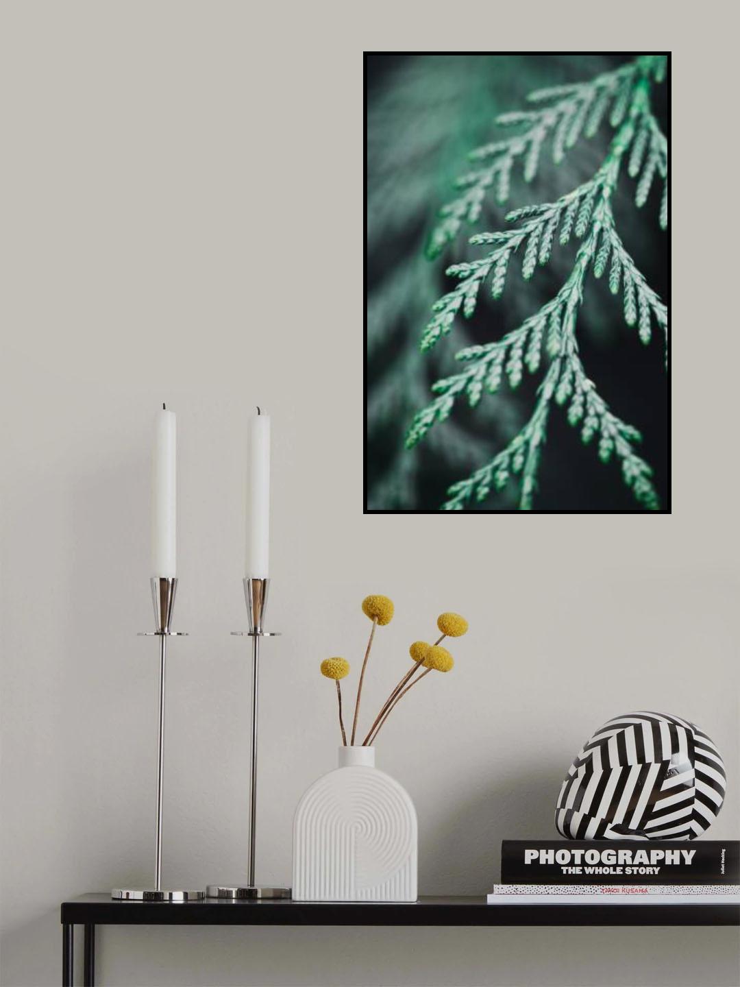 Conifer twig Poster och Canvastavla