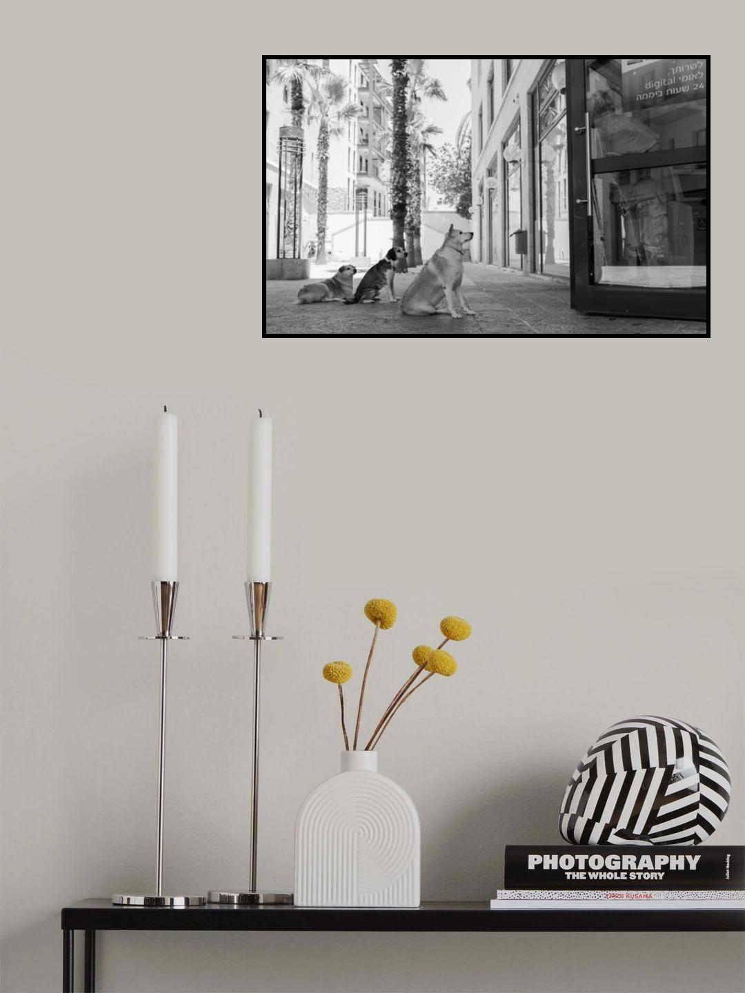 Poster och Canvastavla