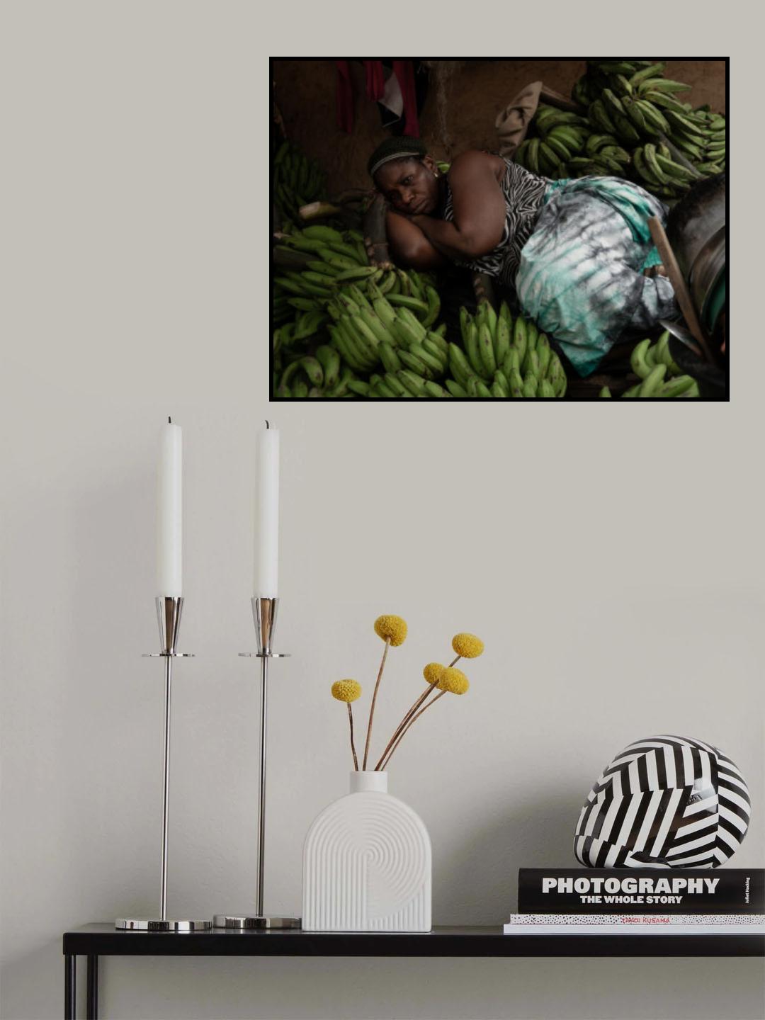 having a rest among the bananas Poster och Canvastavla