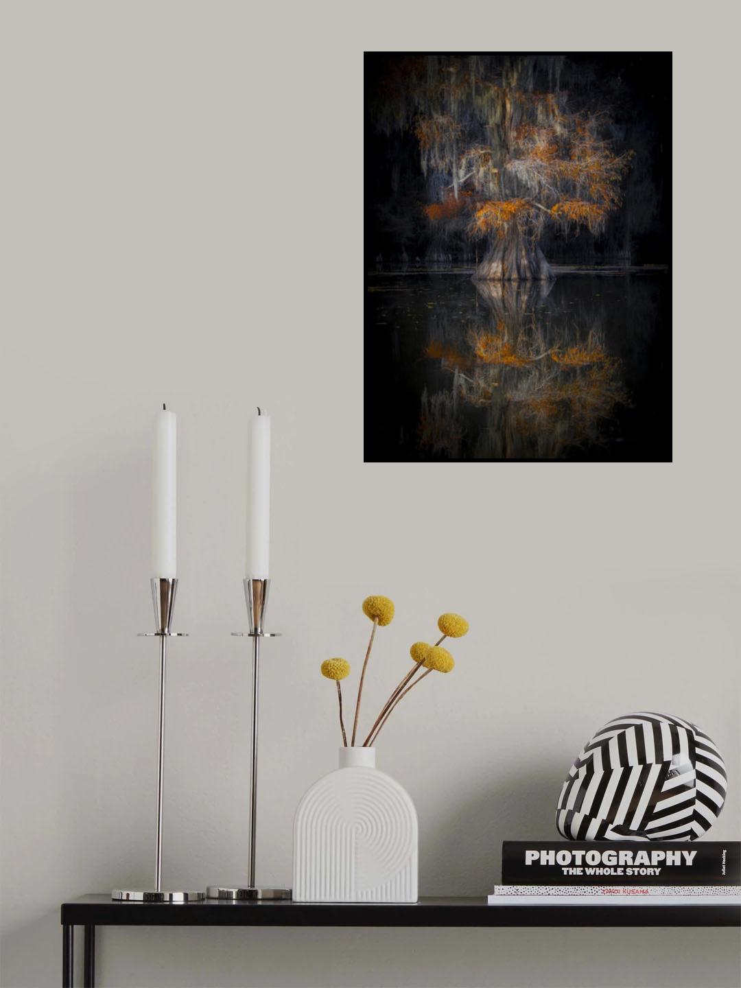 Cypress Reflection Poster och Canvastavla