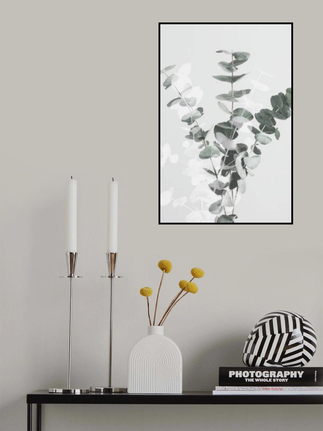 Eucalyptus Creative 07 Poster och Canvastavla