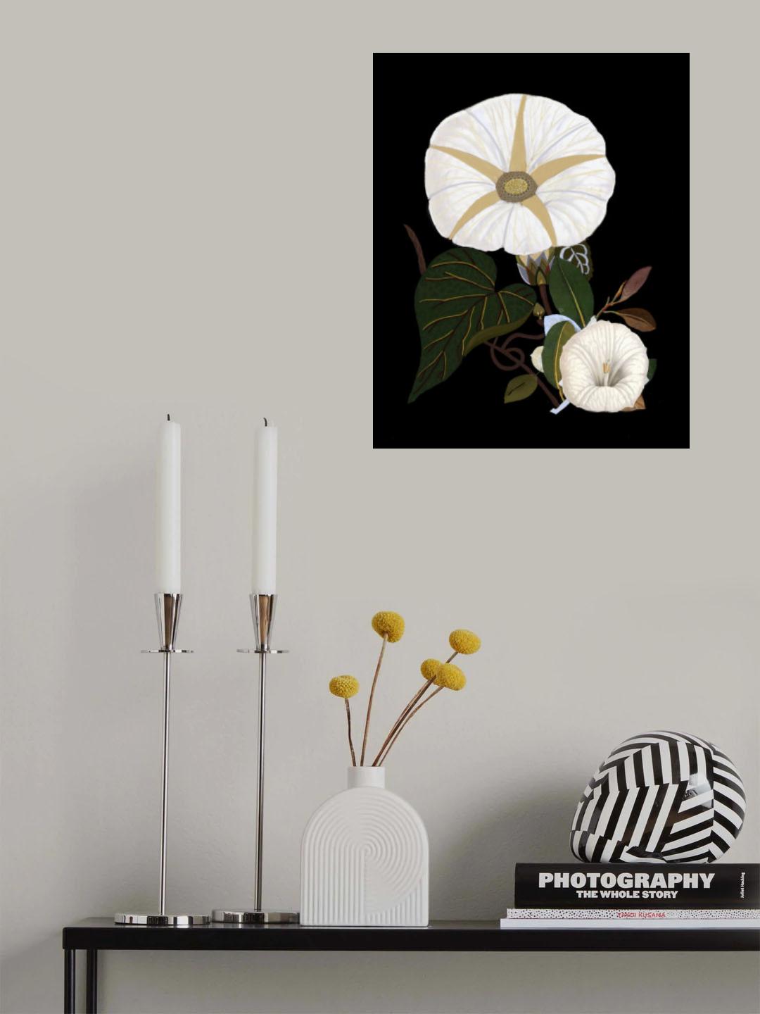 Moody Morning Glories Poster och Canvastavla