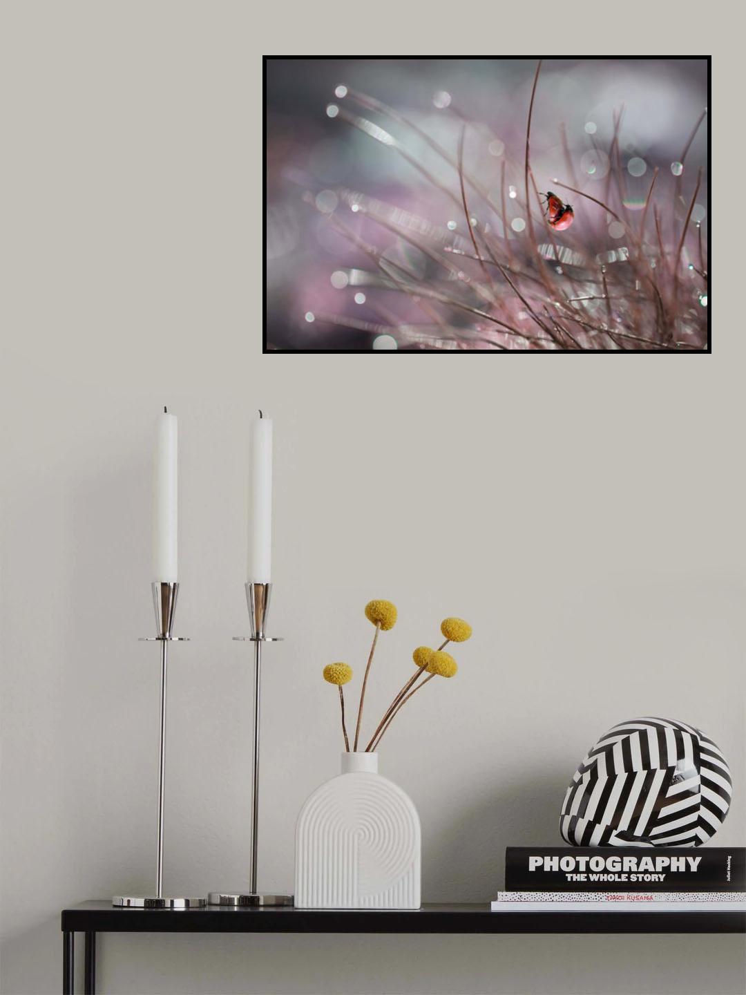springtime ... Poster och Canvastavla