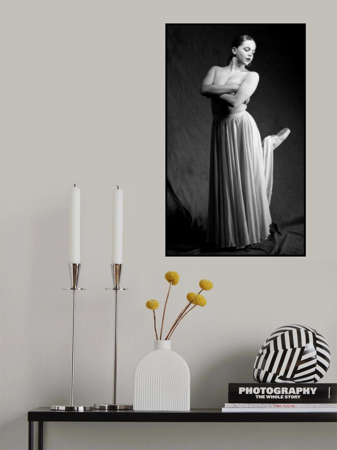 The ballet shoe. Poster och Canvastavla