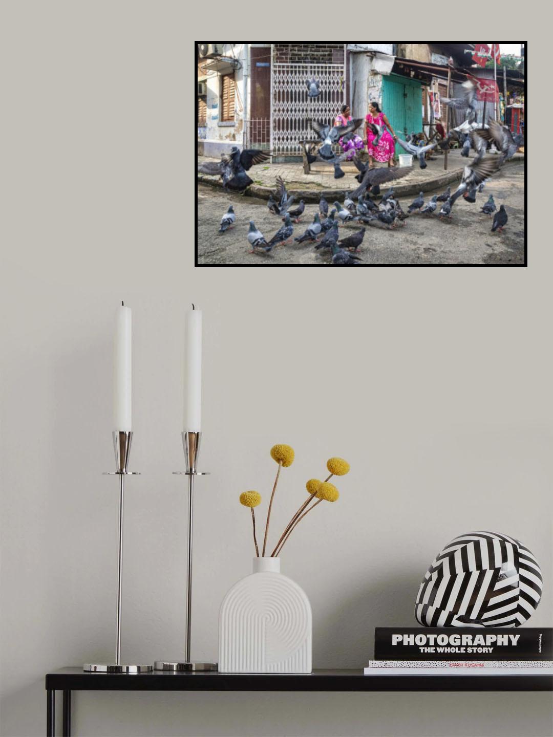 Morning chat and pigeons Poster och Canvastavla