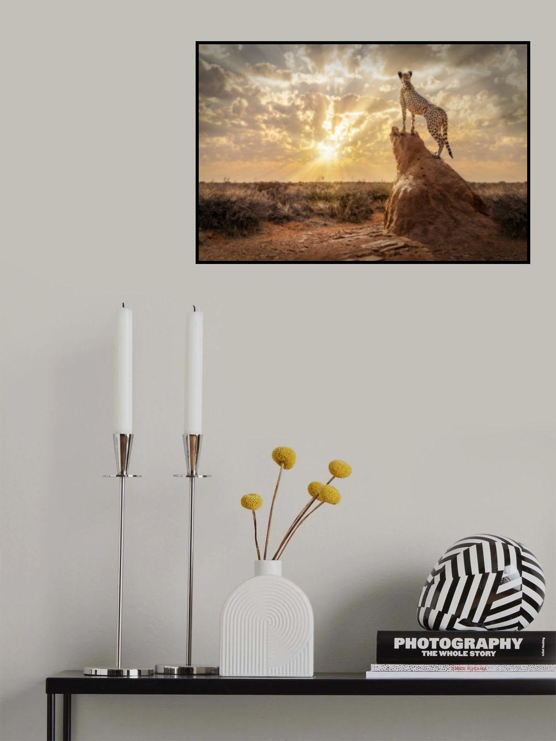 SundownCheetah Poster och Canvastavla