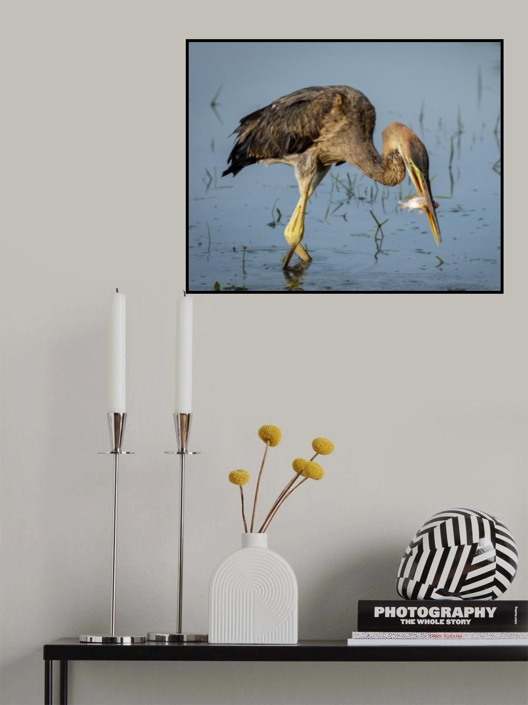 Got a fish Poster och Canvastavla