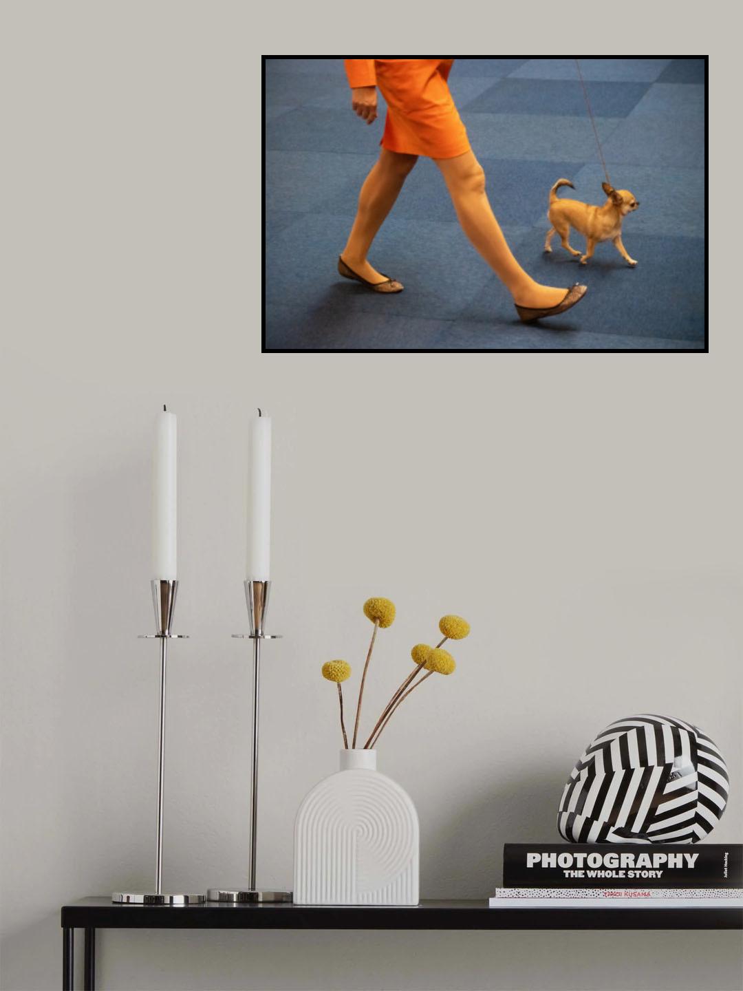 Matching Colours Poster och Canvastavla