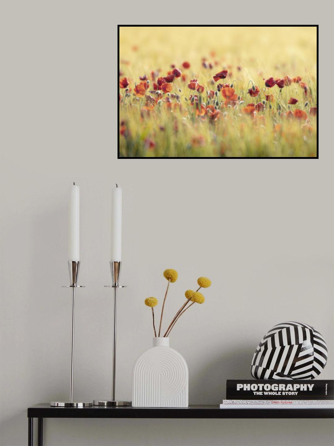 Summer mood! Poster och Canvastavla
