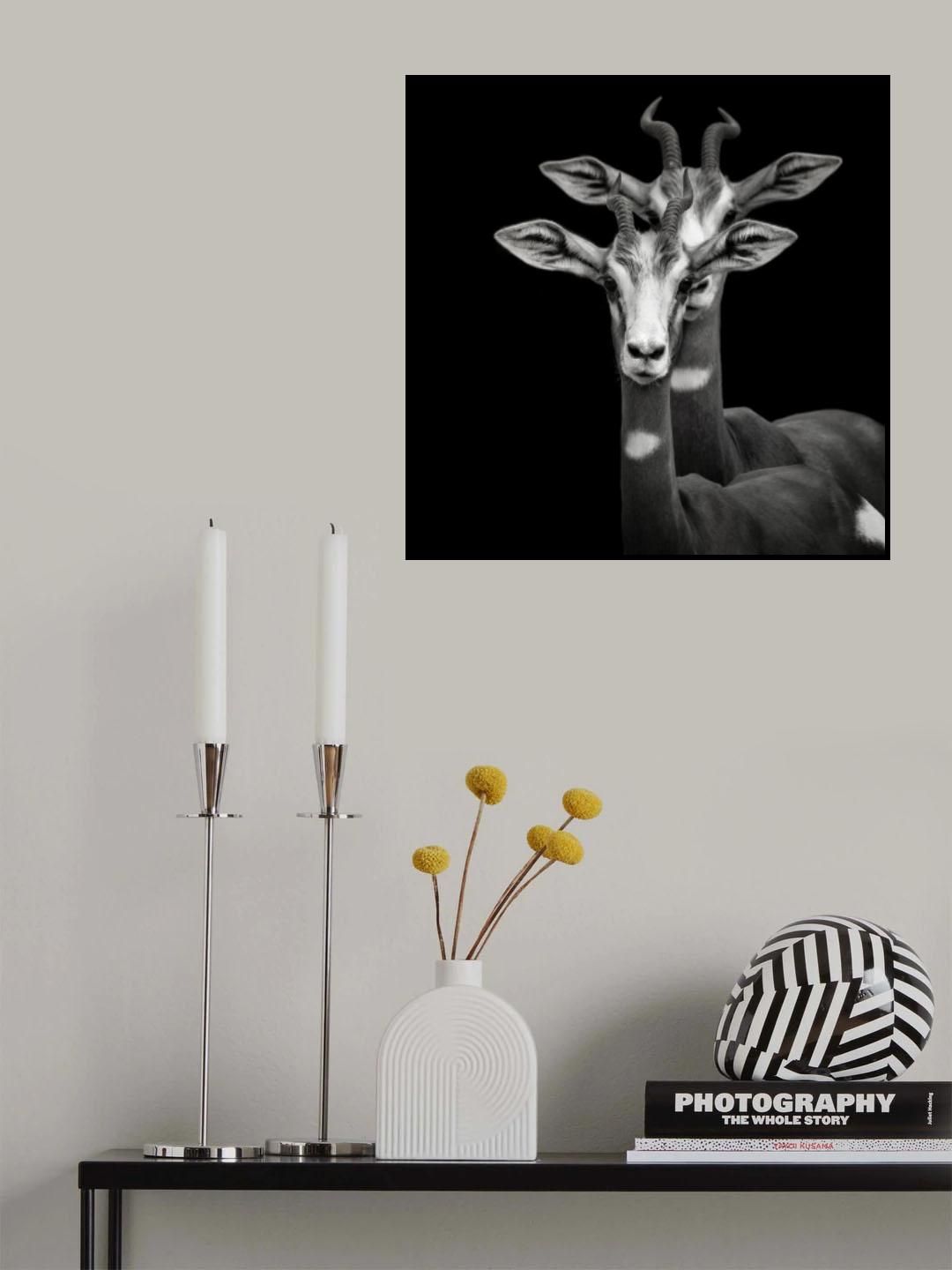 Mimicry - Nanger Dama Mhorr Poster och Canvastavla