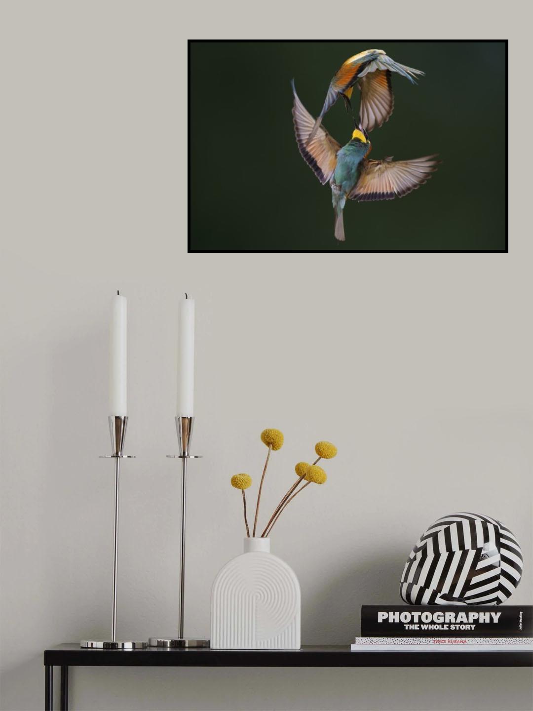 Fight Between Rainbows Poster och Canvastavla