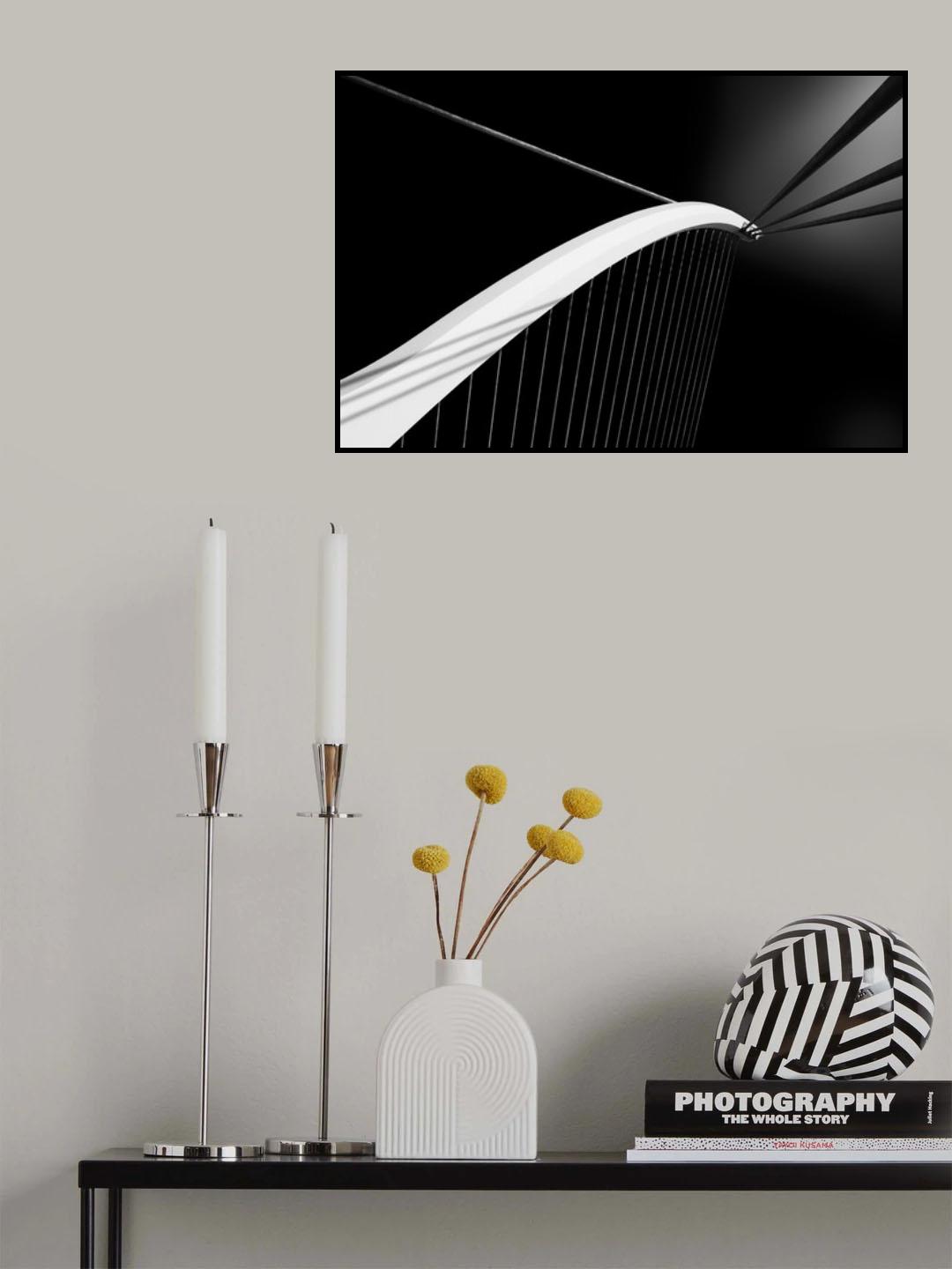 The harp Poster och Canvastavla