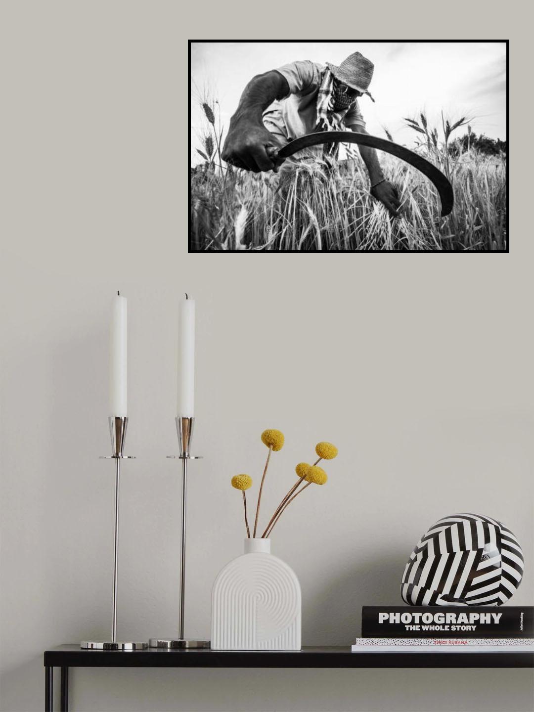 harvest season Poster och Canvastavla