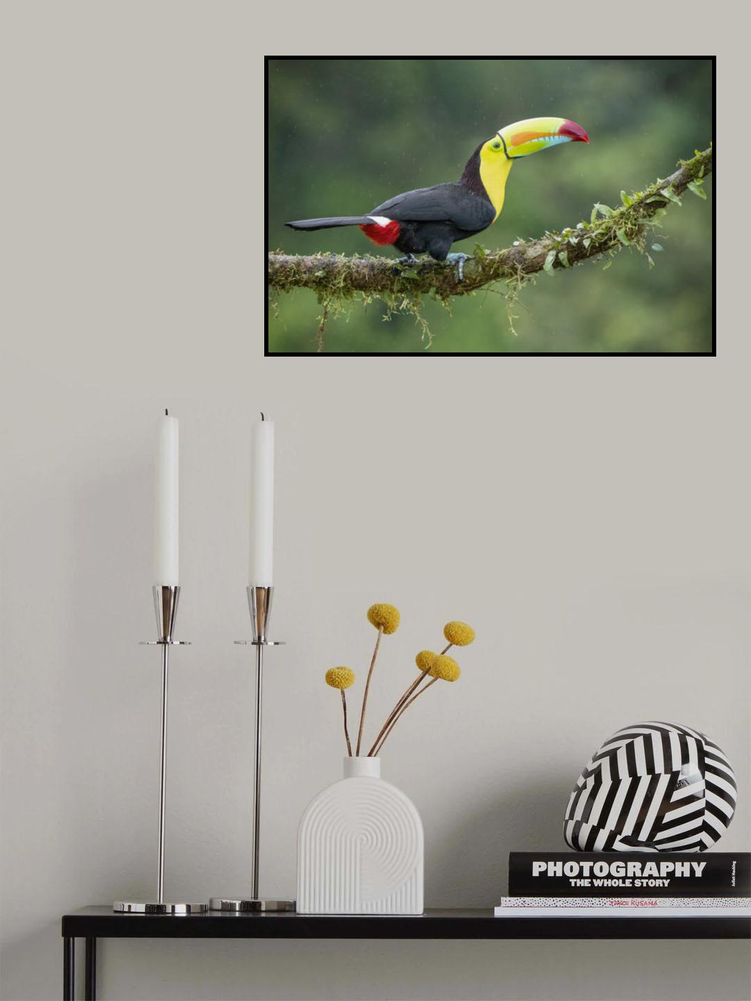 Bright on a Rainy Day Poster och Canvastavla