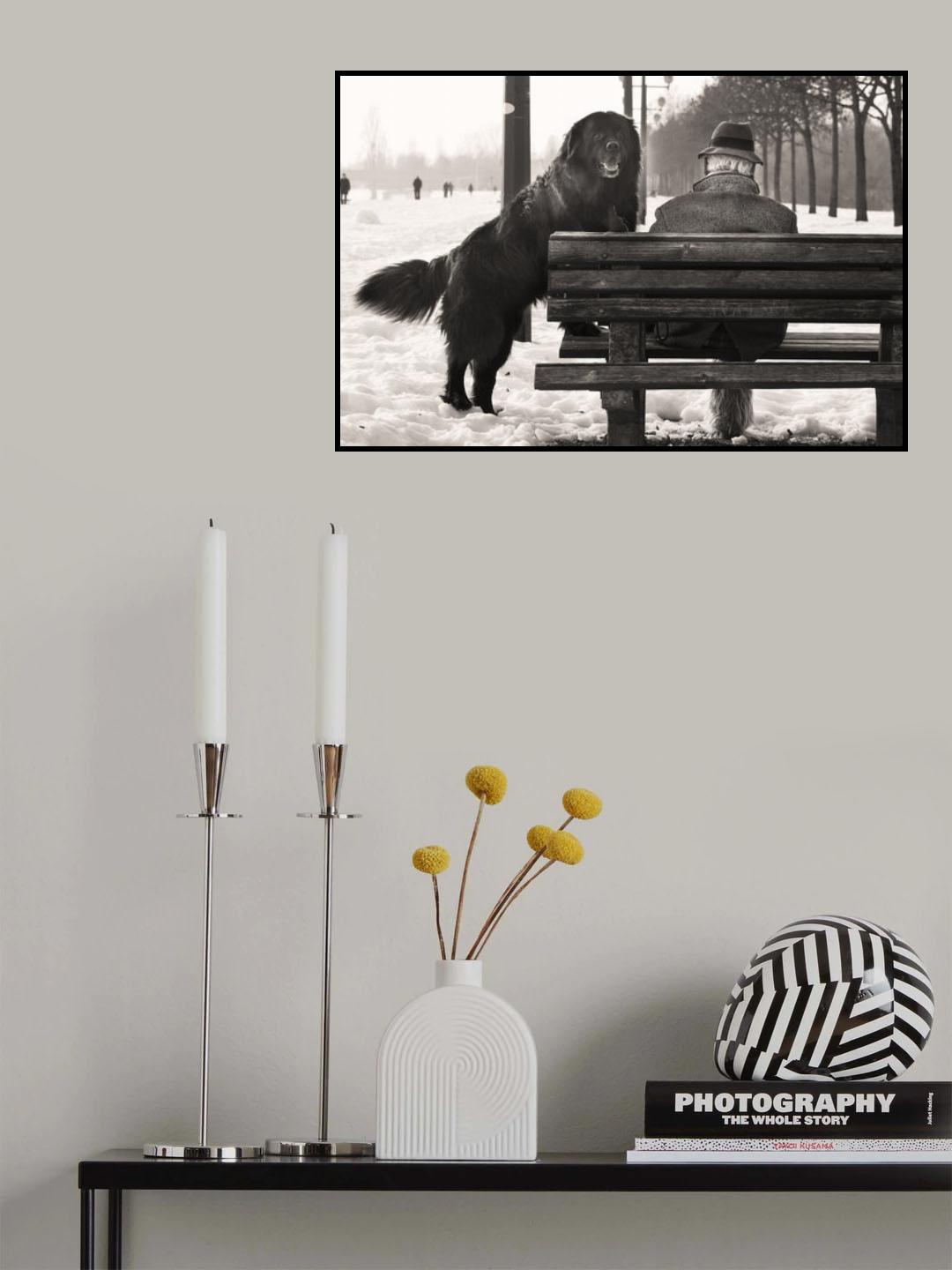 One man and his dog Poster och Canvastavla