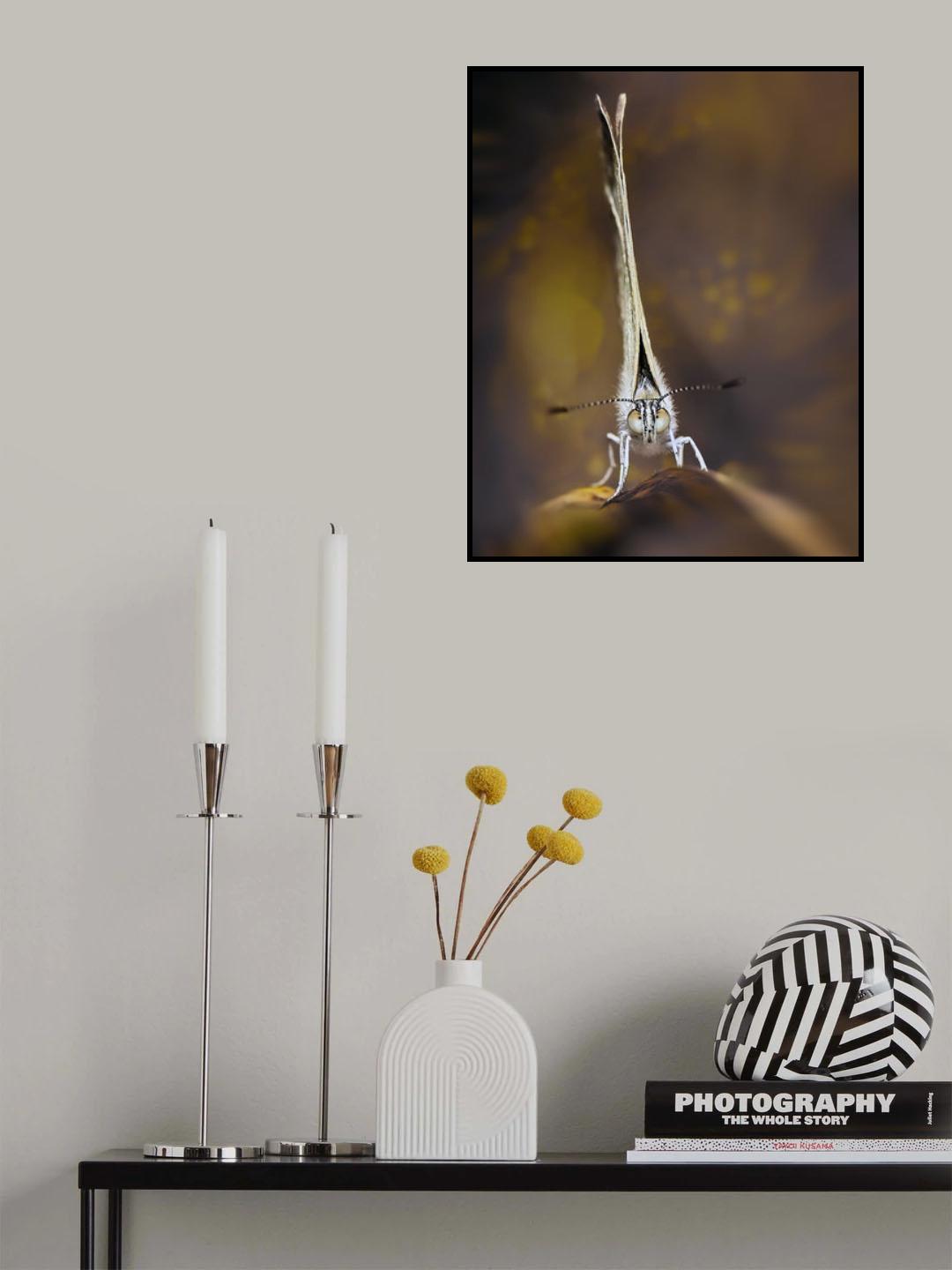 My Universe Poster och Canvastavla