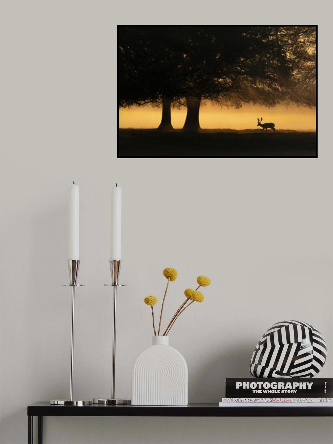 European Fallow Deer Poster och Canvastavla