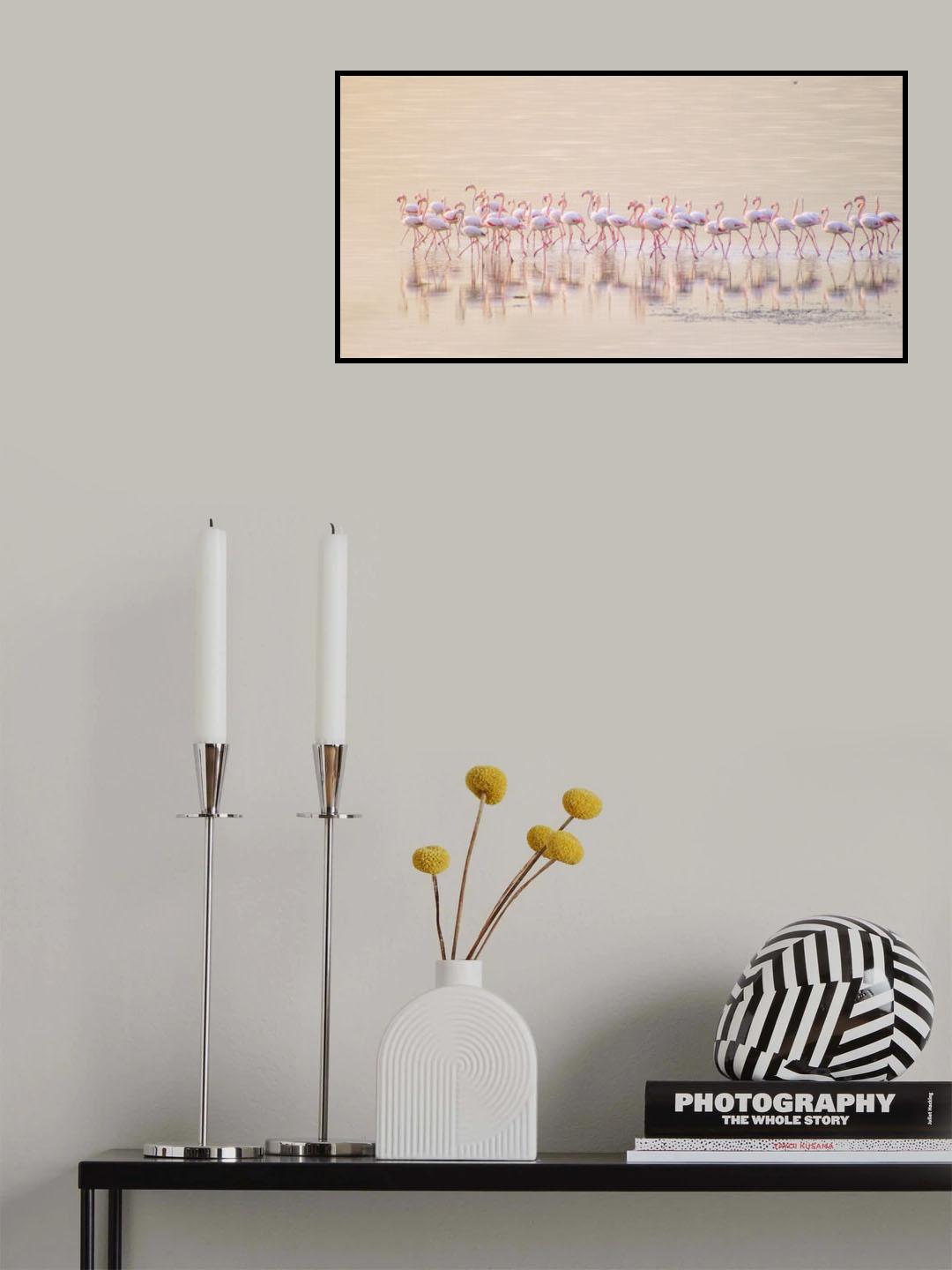 Marching pinks Poster och Canvastavla