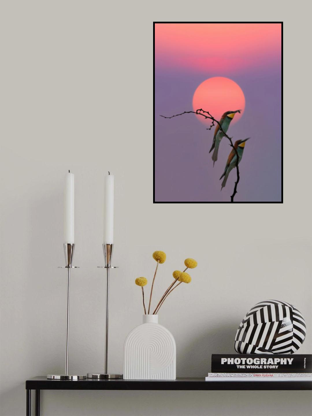 European Bee-eater at the end of the day Poster och Canvastavla