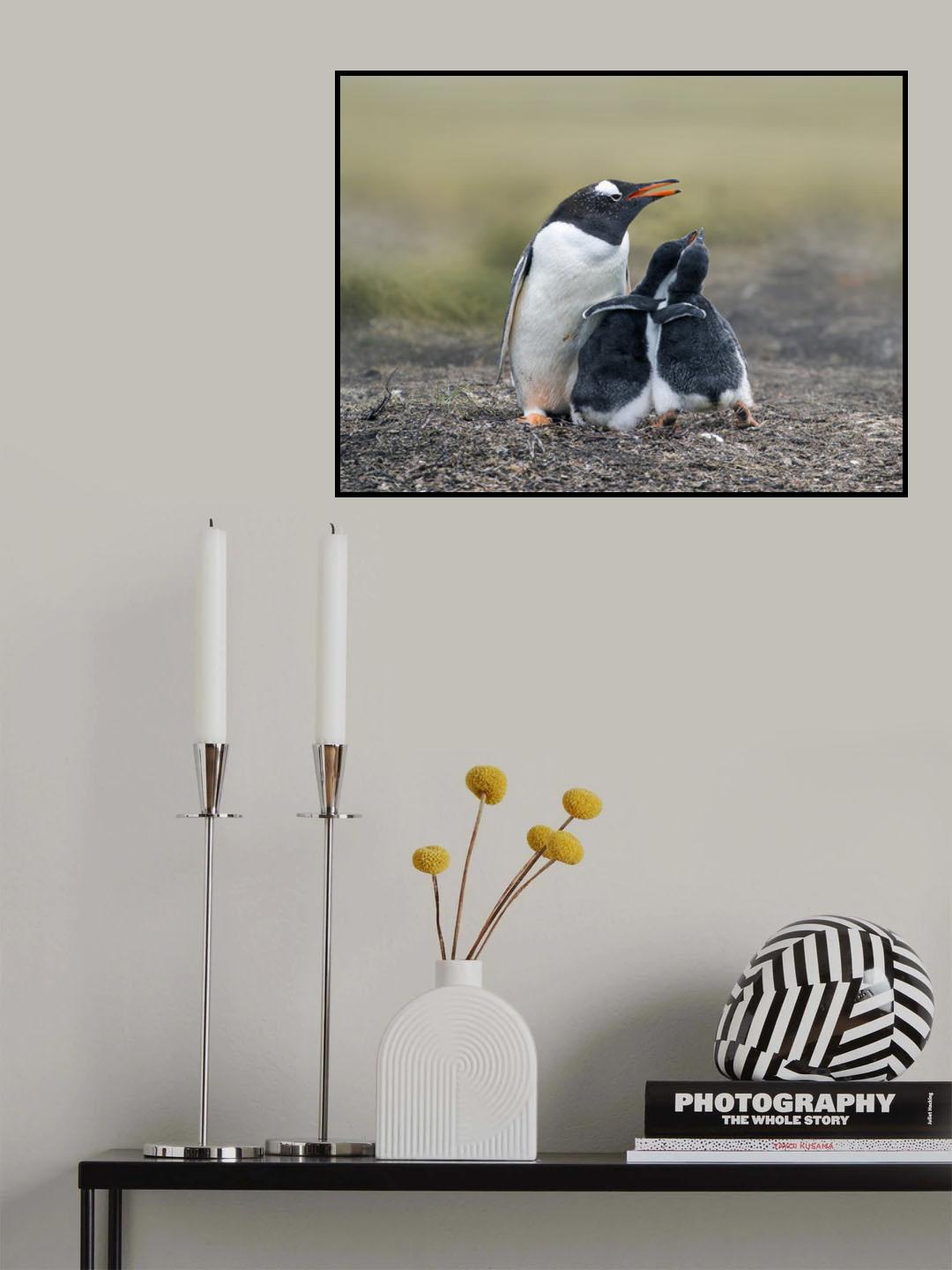 Brothers Poster och Canvastavla