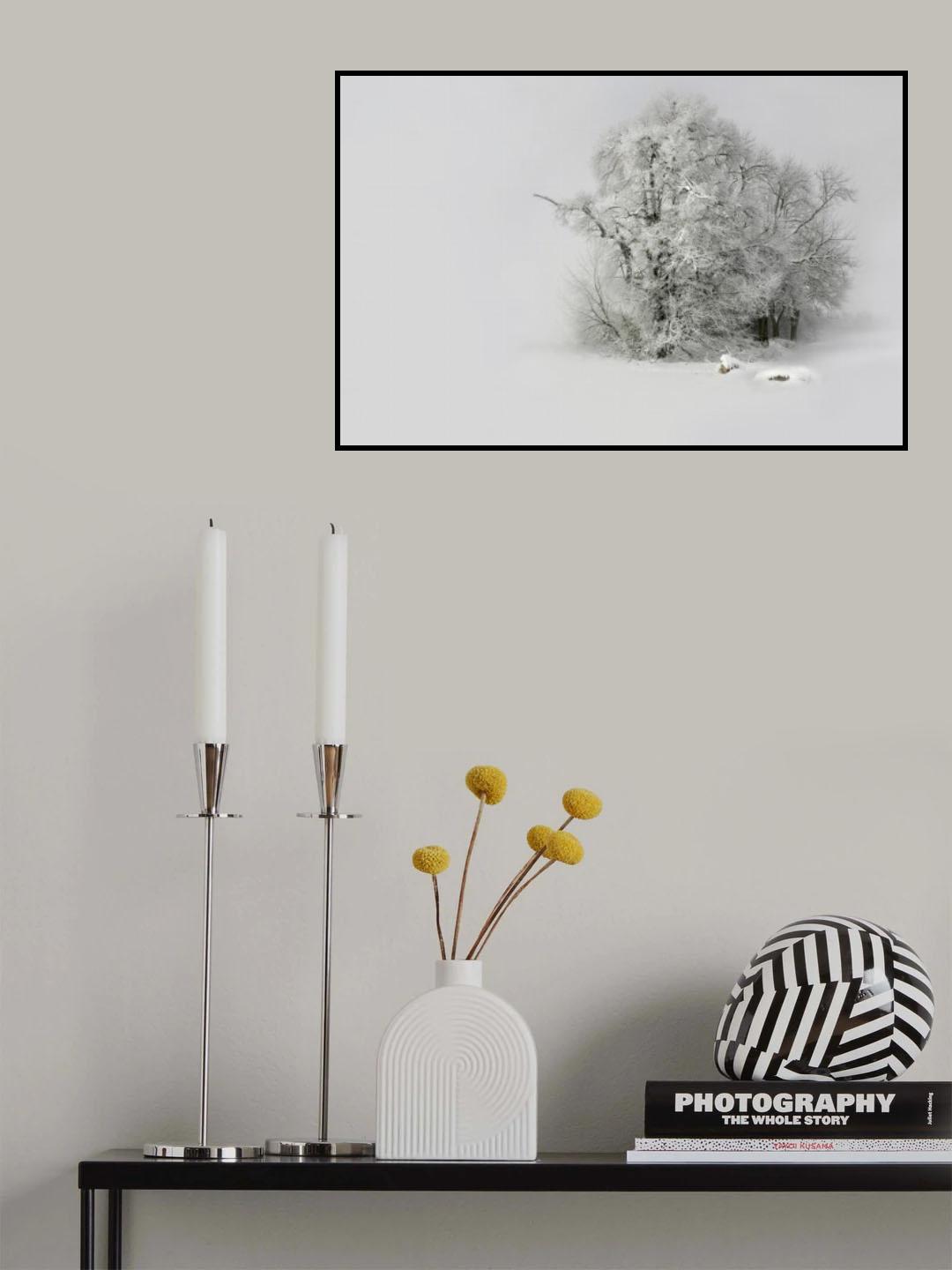Winter filigran_Winter filigree Poster och Canvastavla