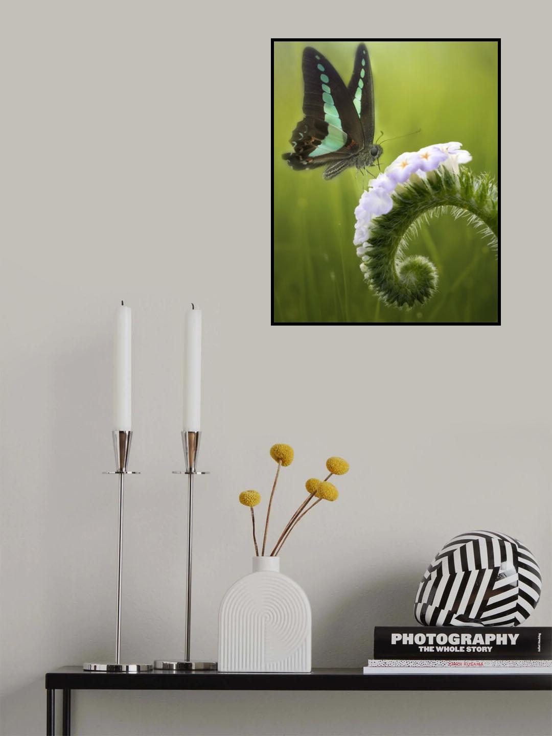 The Butterfly and The Flowers Poster och Canvastavla