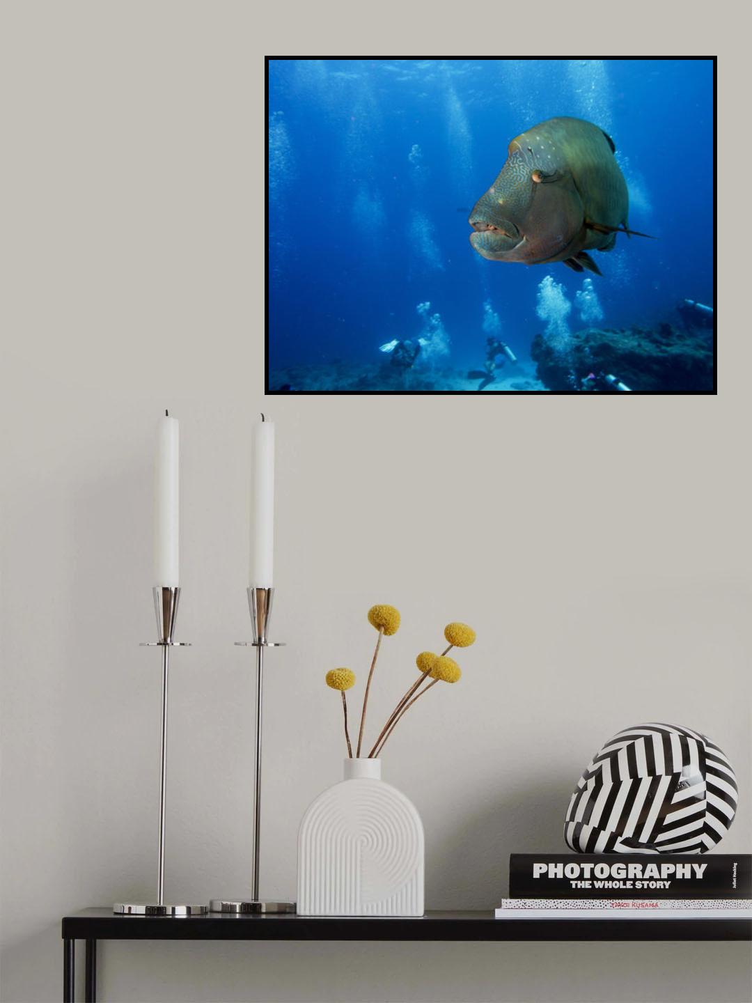 King of the Reef Poster och Canvastavla