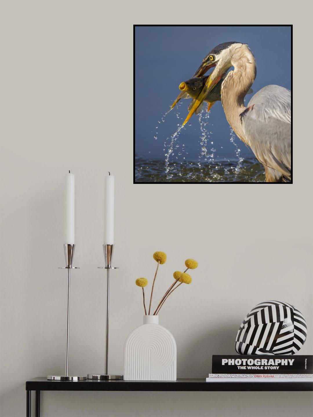 Poster och Canvastavla
