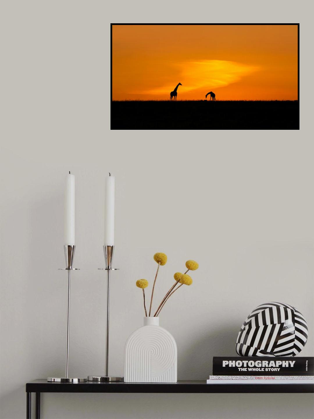 Giraffes Poster och Canvastavla