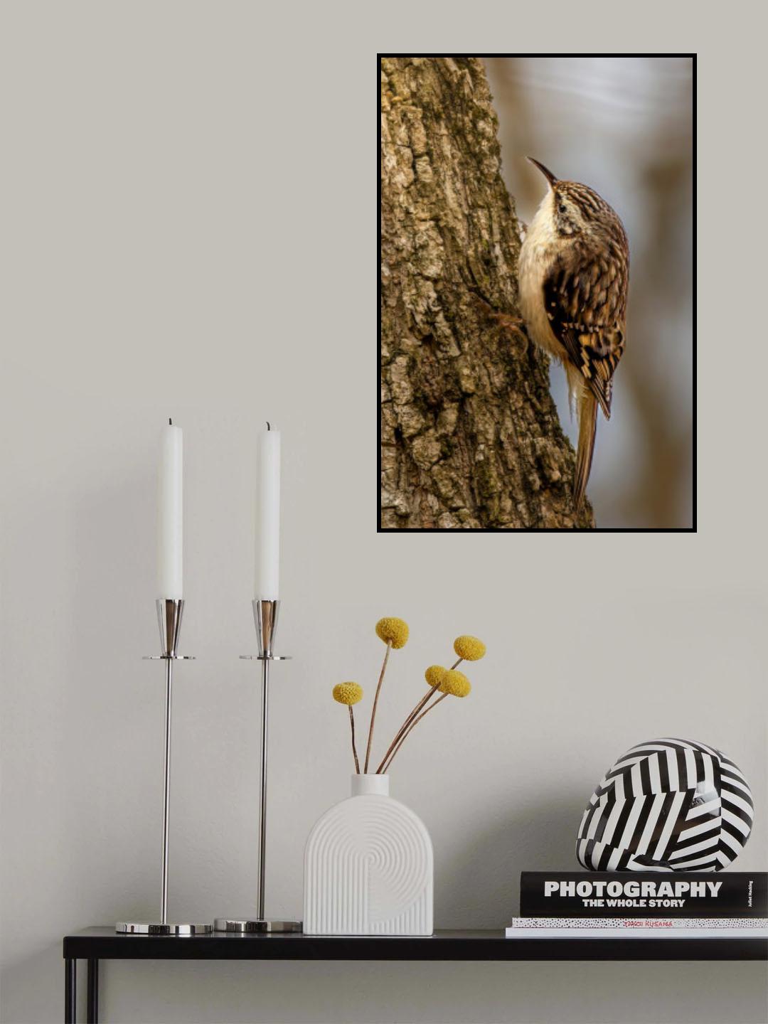 camouflage Poster och Canvastavla
