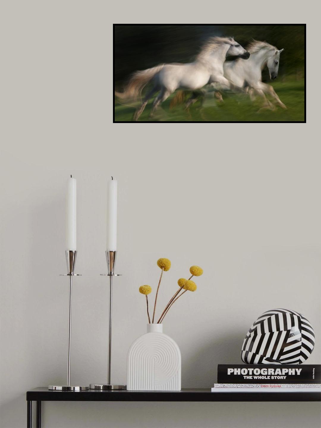 gallop for two Poster och Canvastavla