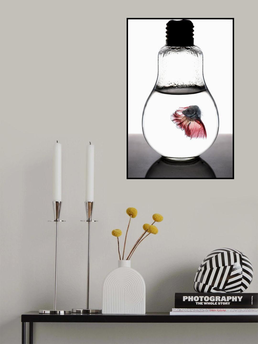 betta fish red Poster och Canvastavla