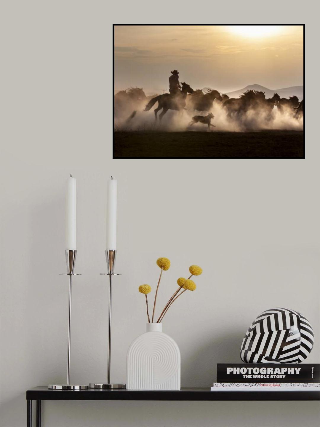Noble Horses Poster och Canvastavla