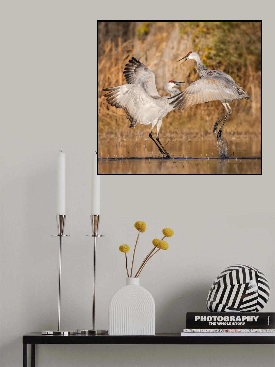 pas de deux Poster och Canvastavla