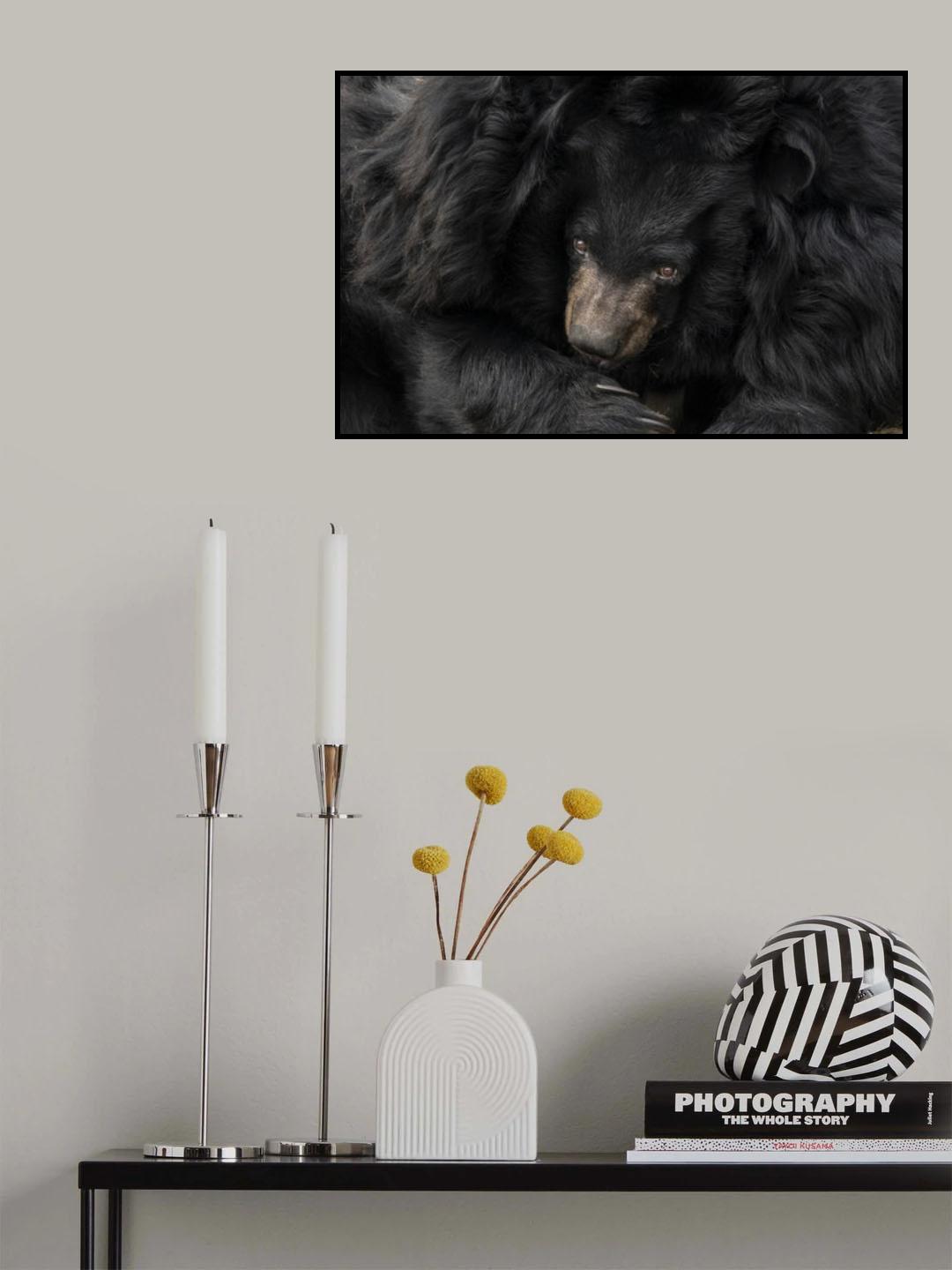 Don't disturb Poster och Canvastavla