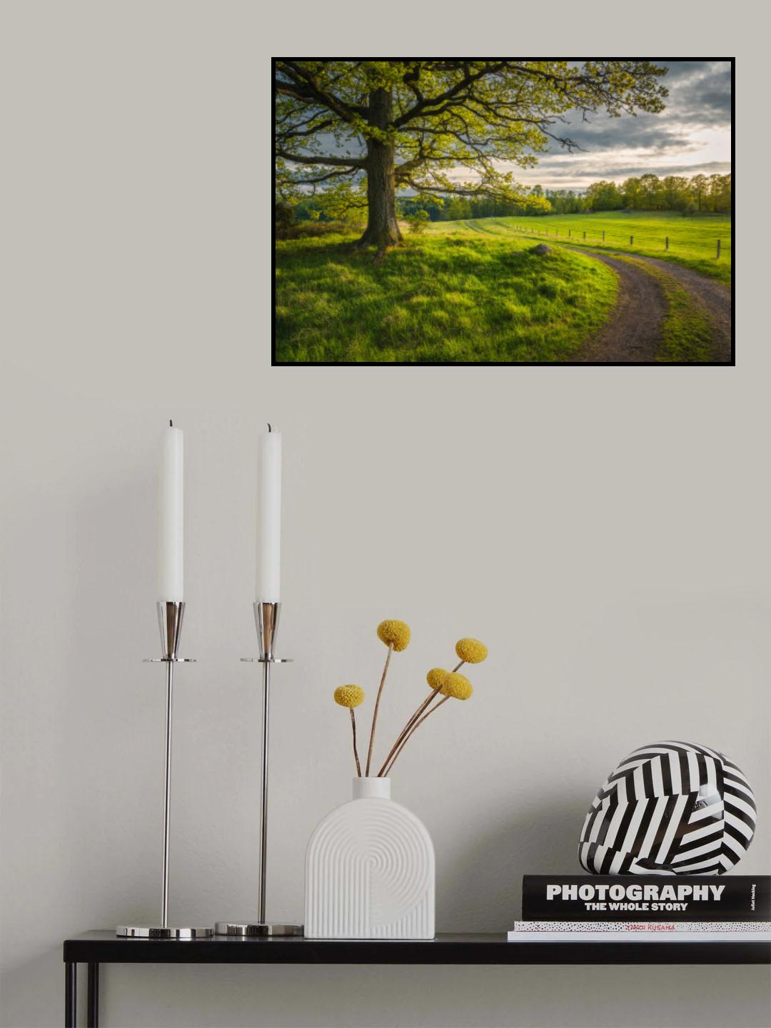 Road in nature Poster och Canvastavla