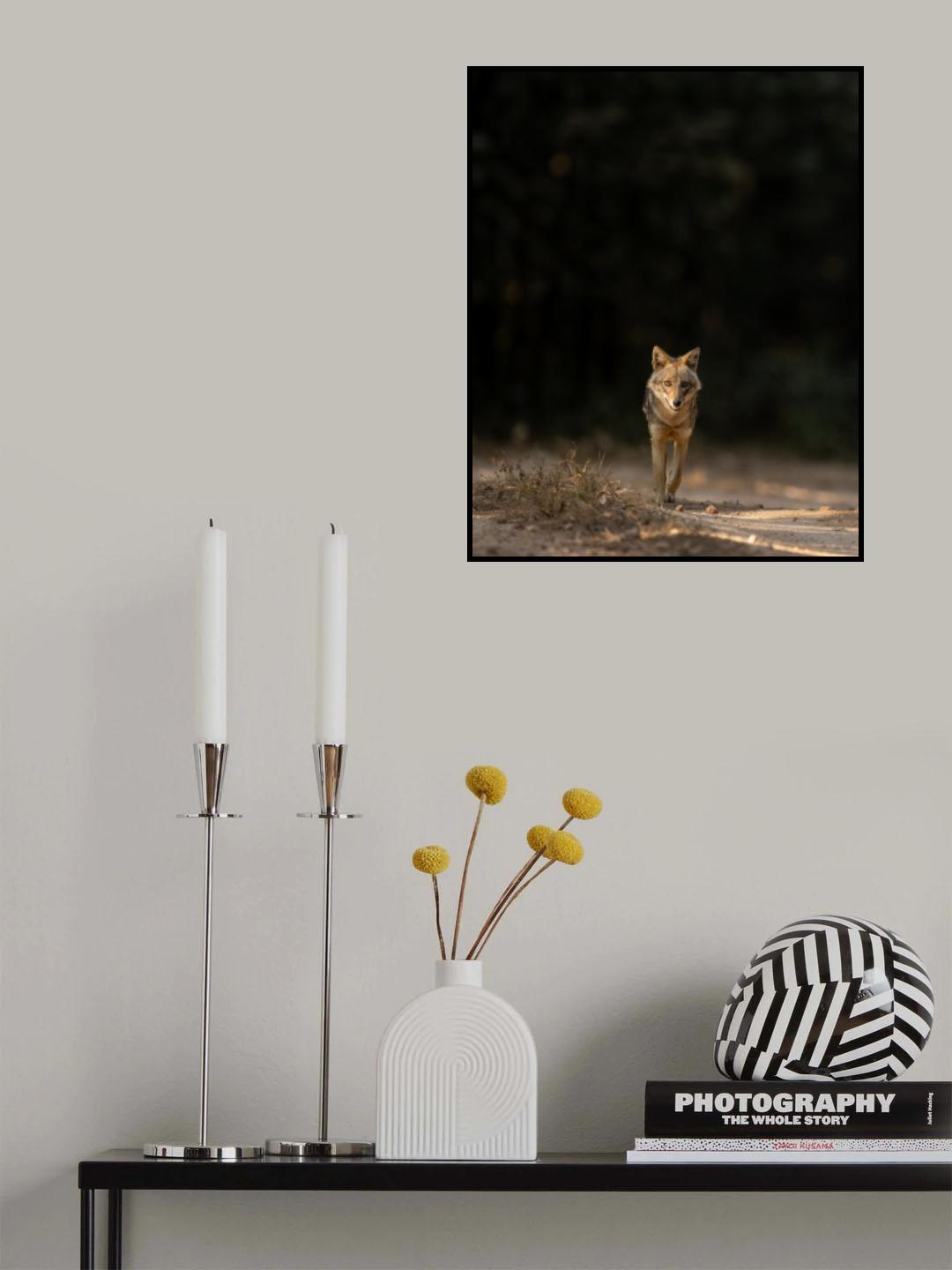 Shadows & Light Poster och Canvastavla