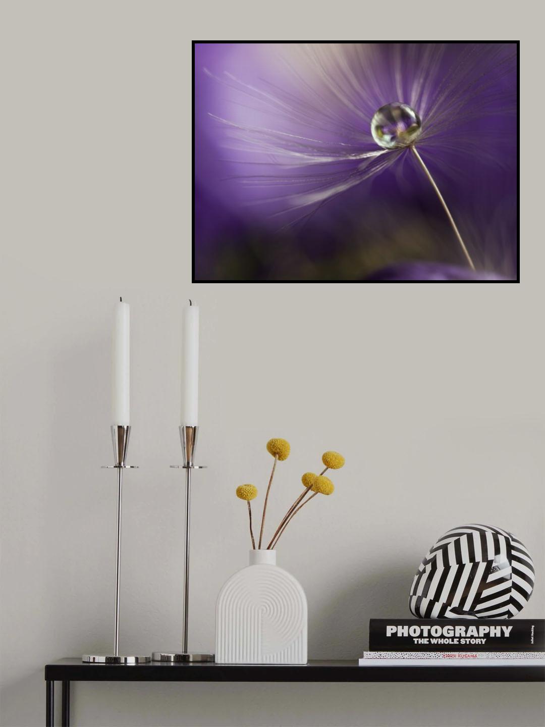 In shades of purple Poster och Canvastavla