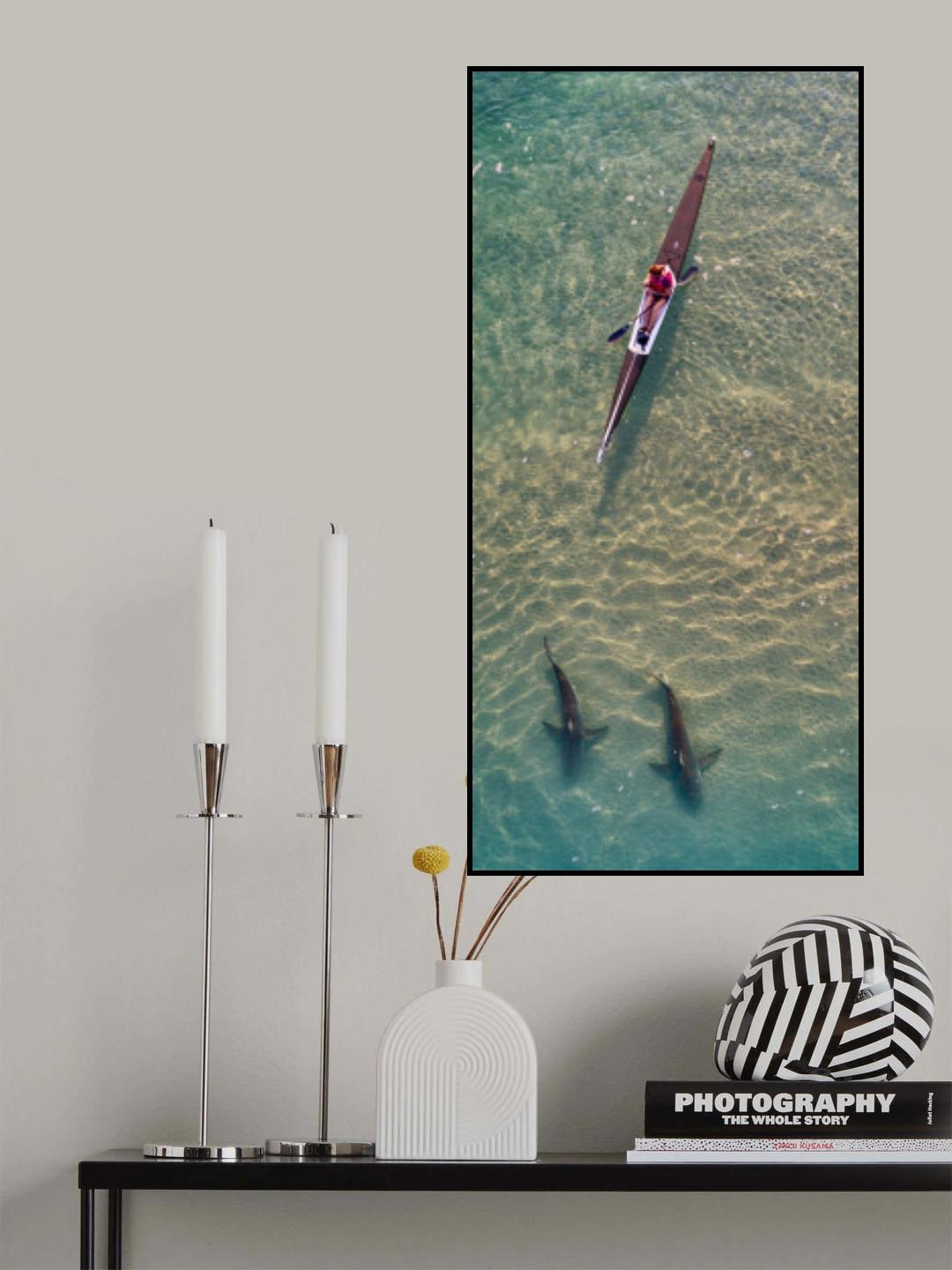 sharks companions Poster och Canvastavla