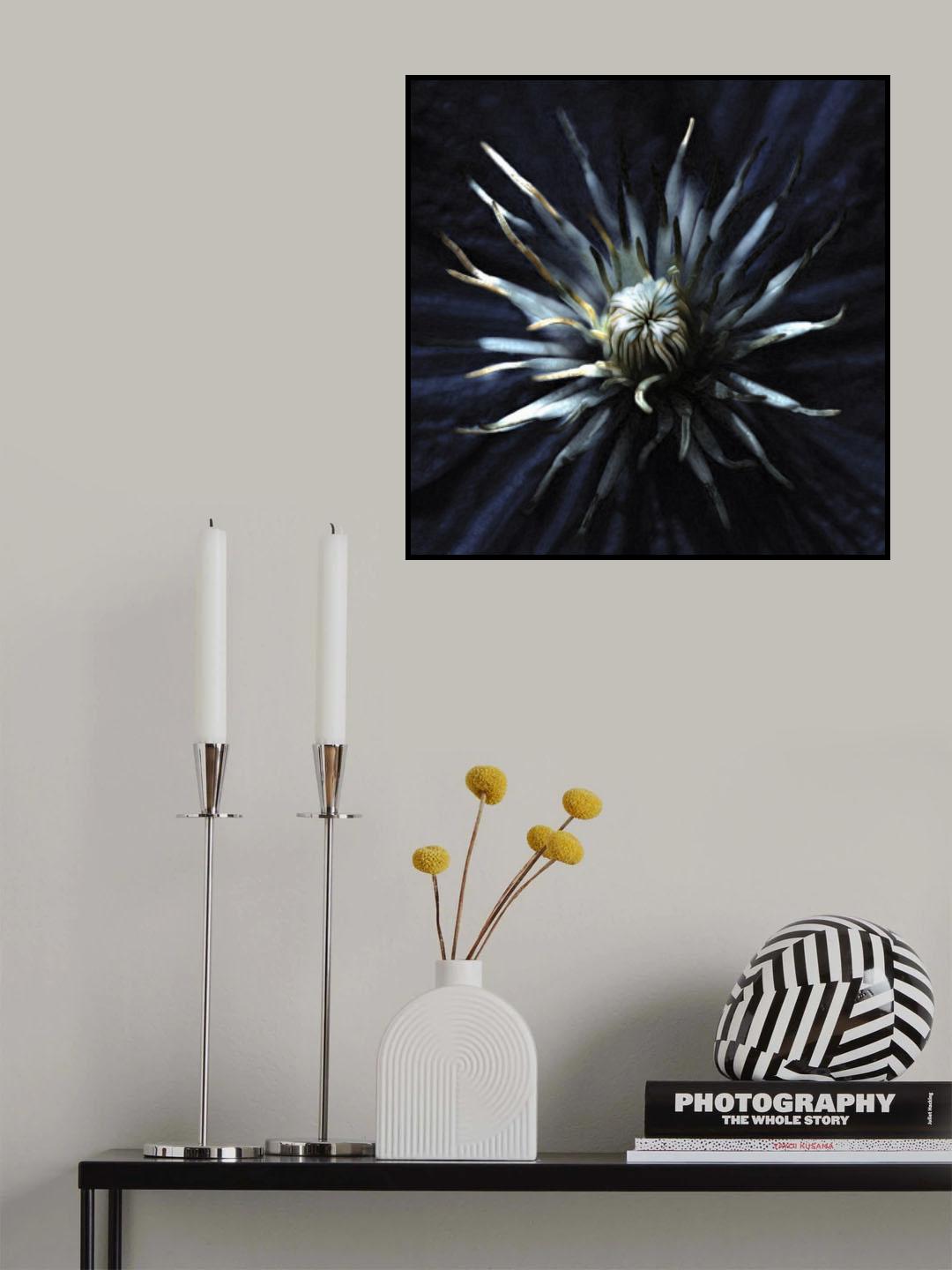 Seduction act Poster och Canvastavla